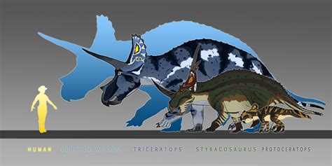 Protoceratops Size