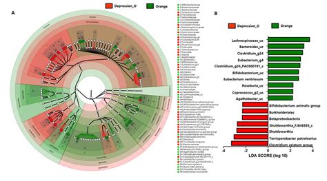 Alpha-diversity index of the gut microbiota in the Depression and ...