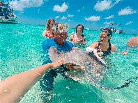 The Ultimate Guide to Swimming with Stingrays in the Grand Cayman