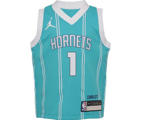 LaMelo Ball Charlotte Hornets 2024 Icon Edition Boys NBA Jersey ...