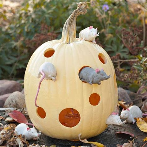 20+ Fun Pumpkin Carving Ideas – DECOOMO