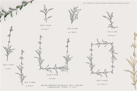 Hand-Drawn Floral Wedding Sets By Patishop Art | TheHungryJPEG