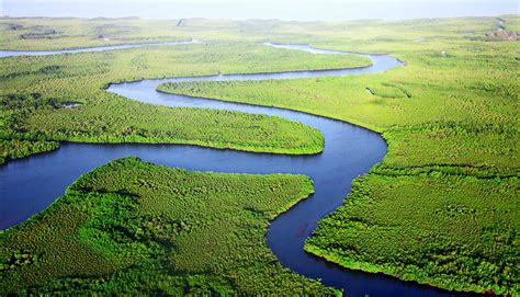 Rivers cover a lot more of Earth than we thought - Futurity