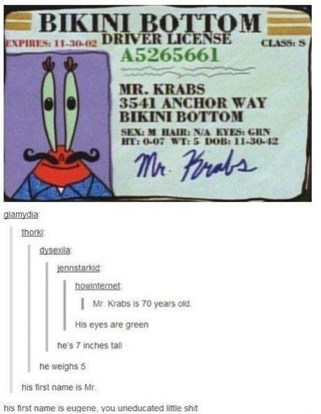 Mr Krabs’ Driver’s License | Spongebob funny, Really funny, Mr krabs