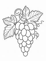 Grape coloring Pages sketch template