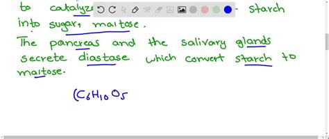 ⏩SOLVED:Which of the following enzyme converts starch into maltose?… | Numerade