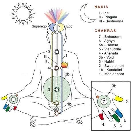 Nadis and chakras | Chakra meditation, Chakra, Sahaja yoga