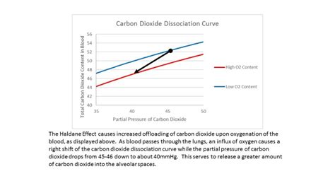 [Figure, Haldane Effect. The carbon dioxide...] - StatPearls - NCBI Bookshelf