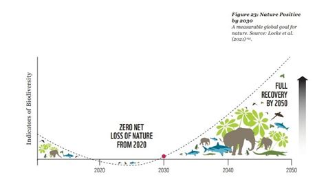 Six charts that show the state of global biodiversity loss | World Economic Forum