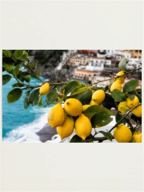 " Amalfi Coast Lemon Tree " Photographic Print by ozeg | Redbubble