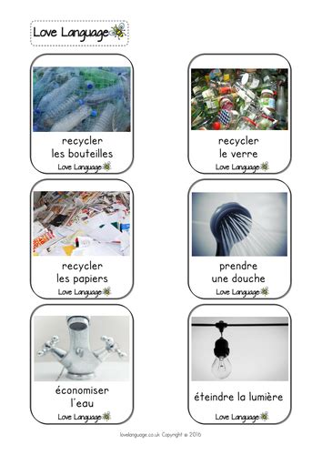 French Protecting the Environment - vocabulary cards | Teaching Resources