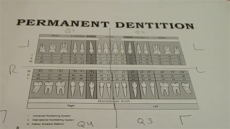 Palmer Notation Numbering System - joyrideidea