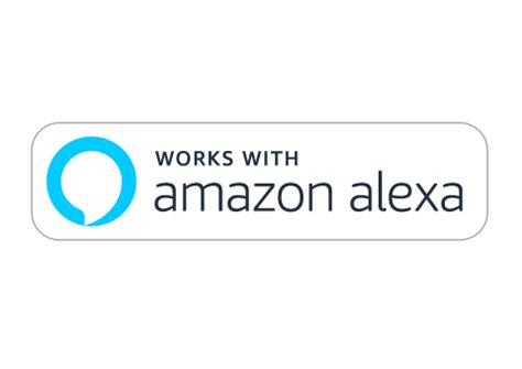 Collection of Amazon Alexa Logo Vector PNG. | PlusPNG