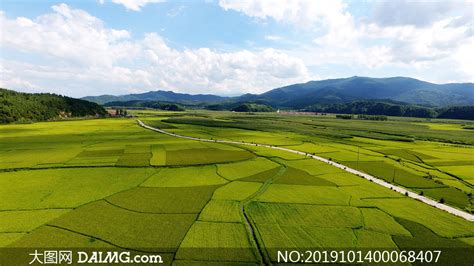 田野美丽的农作物农田和道路摄影图片_大图网图片素材