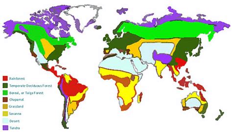 Aquatic Biomes Map