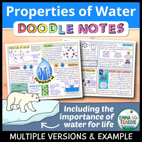 Properties of Water Doodle Notes - Emmatheteachie