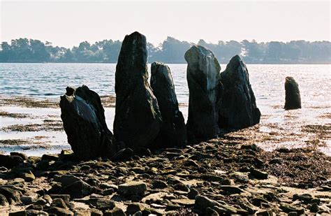 Face à Gavrinis : Cromlech d'Er Lannic à basse mer. Golfe du Morbihan (56) France Breizh Ma Bro ...