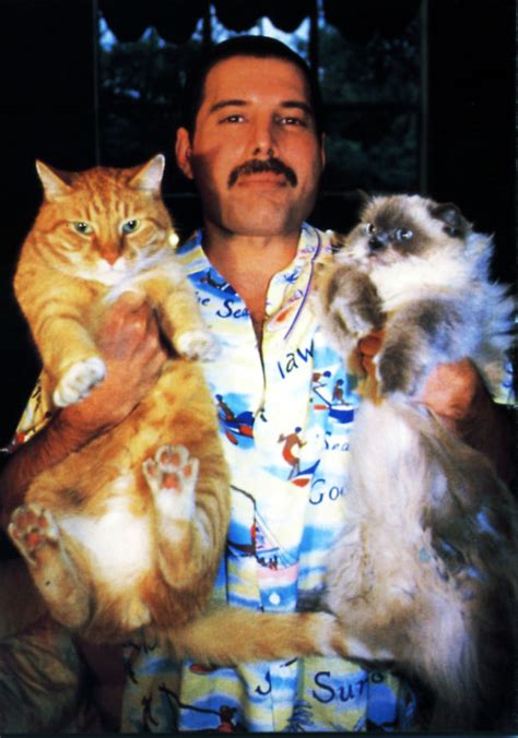 20 Vintage Photos Of Freddie Mercury And His Cats That Show His Love For Them Was Unconditional ...