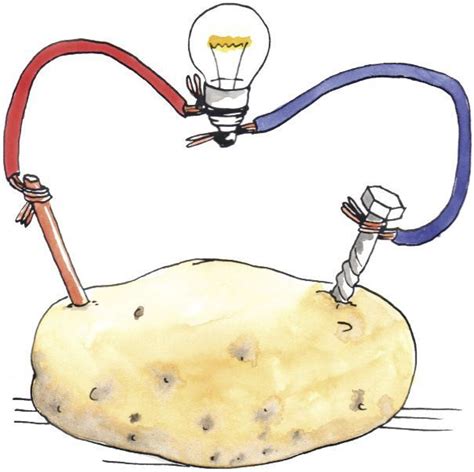 how to make a potato powered light bulb ... | Science experiments kids, Science experiments ...