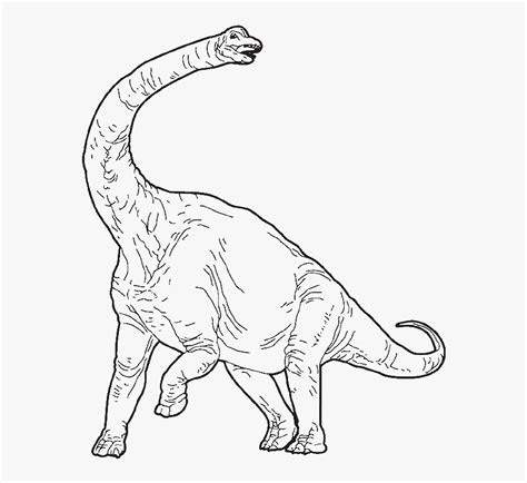 Transparent Brachiosaurus Png - Jurassic Park Brachiosaurus Coloring ...