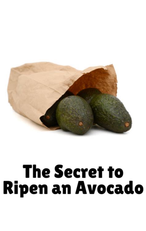 Dr. Oz: Pretzel Stretch for Your Back Pain & How to Ripen an Avocado