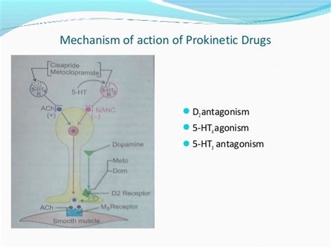 slsi.lk - how long for sulfatrim to work | With you mechanism of action of metoclopramide ...