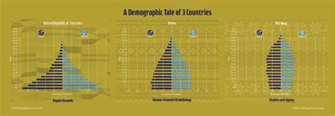 Stage 1 Population Pyramid