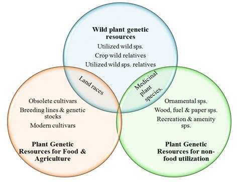 Overall representation of Global plant genetic diversity. | Download ...