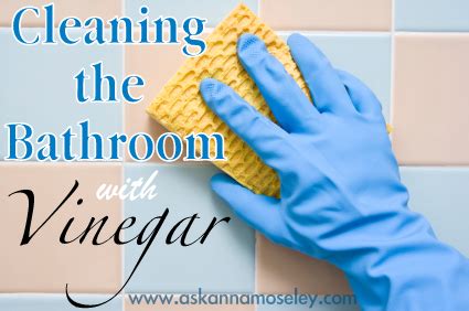 Simple Savings By Shelia: Cleaning The Bathroom With Vinegar