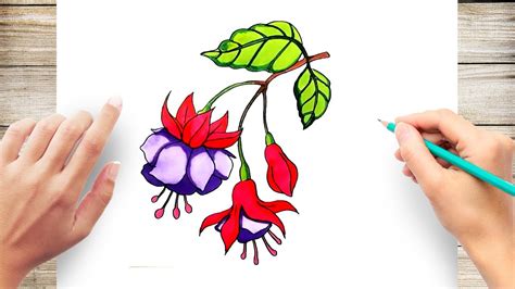 How To Draw A Fuchsia Flower | Best Flower Site