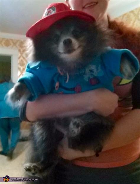 Paddington Bear Dog Costume