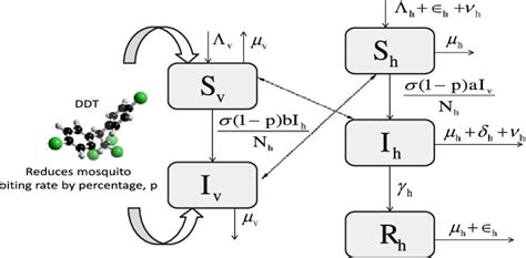 The model diagram (DDT structure from DDT@3Dchem.com) | Download ...