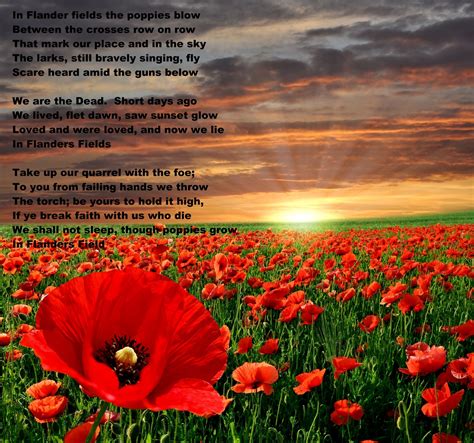 poppies with poem | Field wallpaper, Flanders field, Cross paintings