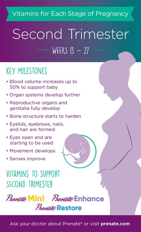 Prenatal Vitamins for Each Stage of Pregnancy: Second Trimester ...