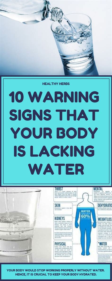 10 Warning Signs that Your Body is Lacking Water | Body, Body tissues, Healthy herbs