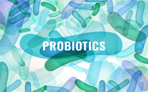 Do Probiotics Help in Yeast Infection Treatment? - Biom Probiotics