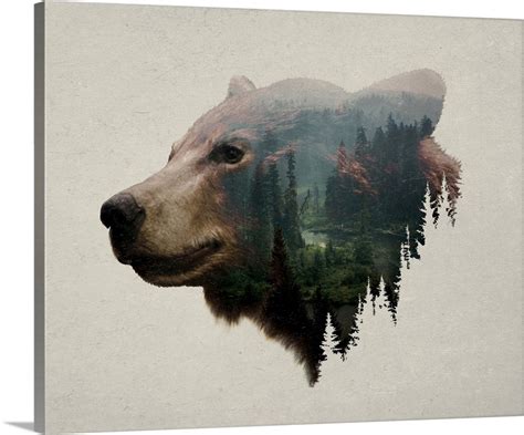 Pacific Northwest Black Bear Wall Art, Canvas Prints, Framed Prints, Wall Peels | Great Big Canvas