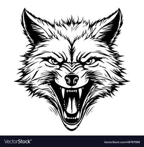 Angry fox sketch hand drawn Royalty Free Vector Image