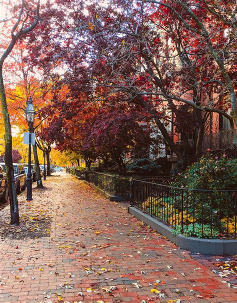 Boston Fall Foliage | Massachusetts | Sunny Coastlines | Autumn destinations, Fall foliage ...