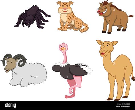 Desert Animals Cartoon - Desert Animal Clipart Animal Clipart Desert Clipart | Bodemawasuma