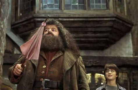 Harry Potter's Rubeus Hagrid is everyone's favorite lovable half-giant ...