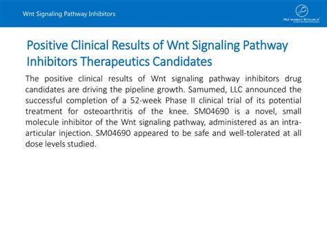 PPT - Wnt Signaling Pathway Inhibitors Therapeutics - Pipeline Analysis ...