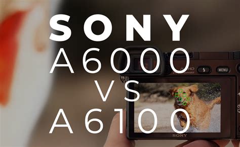 Sony A6000 Vs A6100 - BuyDig.com Blog