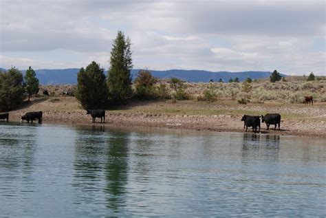 Confederated Salish and Kootenai Tribes water compact survives legal ...