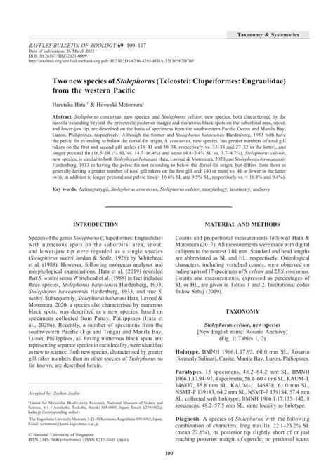 (PDF) Two new species of Stolephorus (Teleostei: Clupeiformes - DOKUMEN.TIPS