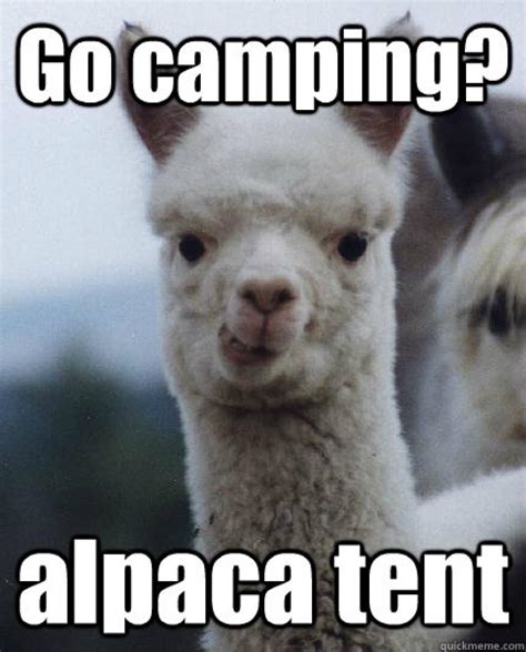 56 Camping Memes That Will Make You Want To Go Camping