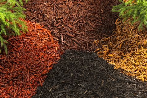 A Simple Guide To Mulch – Types, Tips, and Where To Mulch…