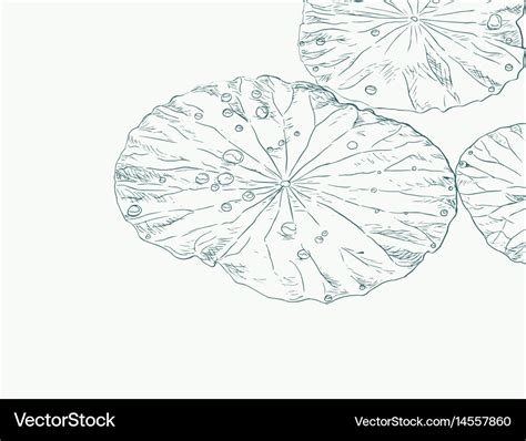 Aggregate more than 135 lotus with leaf drawing latest - seven.edu.vn