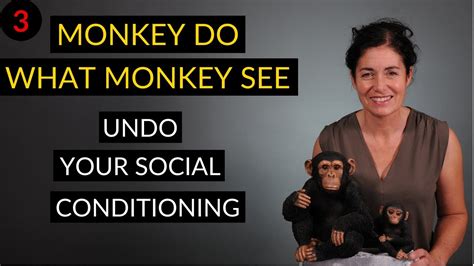 Monkey do what monkey see: Undo your social conditioning - follow the ...