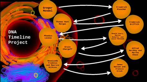 DNA Timeline Project by Sophia Listenfelt on Prezi